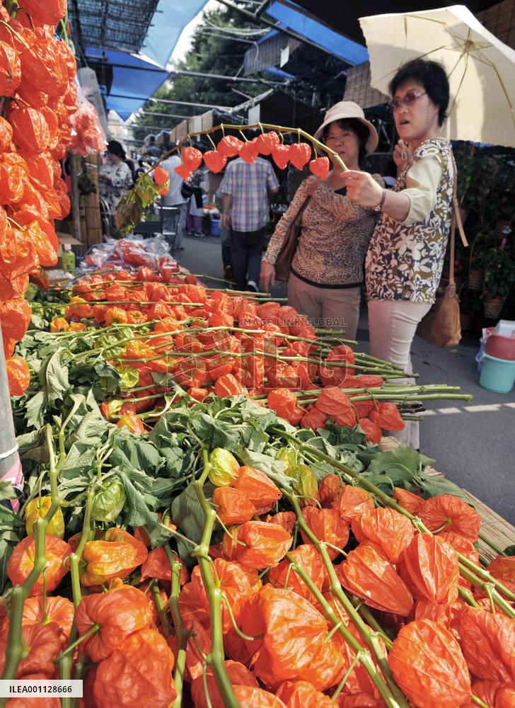 Annual Hozuki Fair begins in Tokyo's Asakusa
