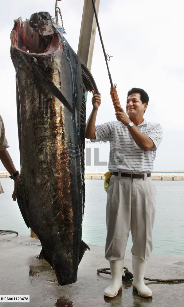 Remote Japanese island trying to bolster ties with Taiwan