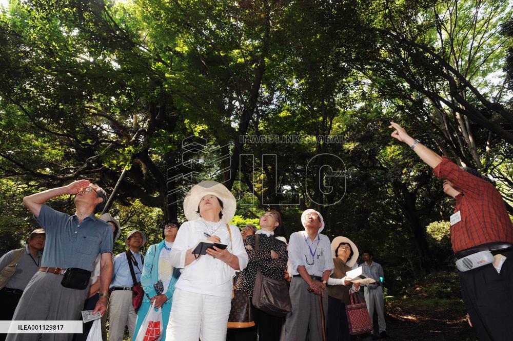 Imperial Palace's inner gardens open to the public