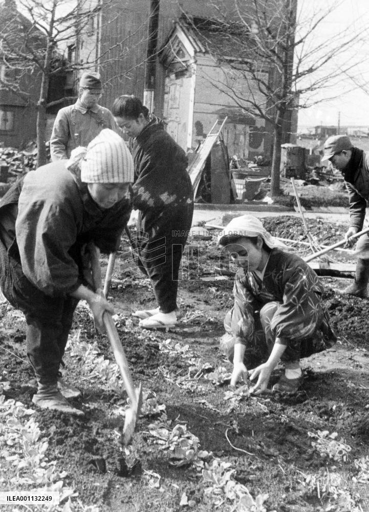 Women growing vegetables on scorched land in Tokyo