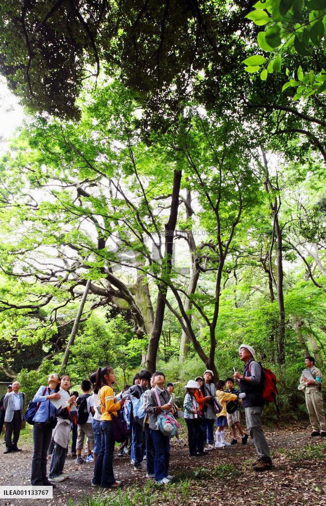 Children join nature-viewing gathering at Imperial Palace