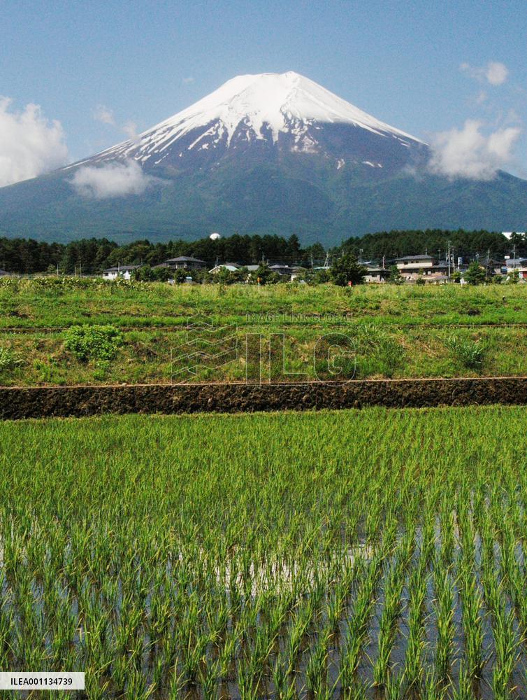 Mt. Fuji covered with snow in mid-June