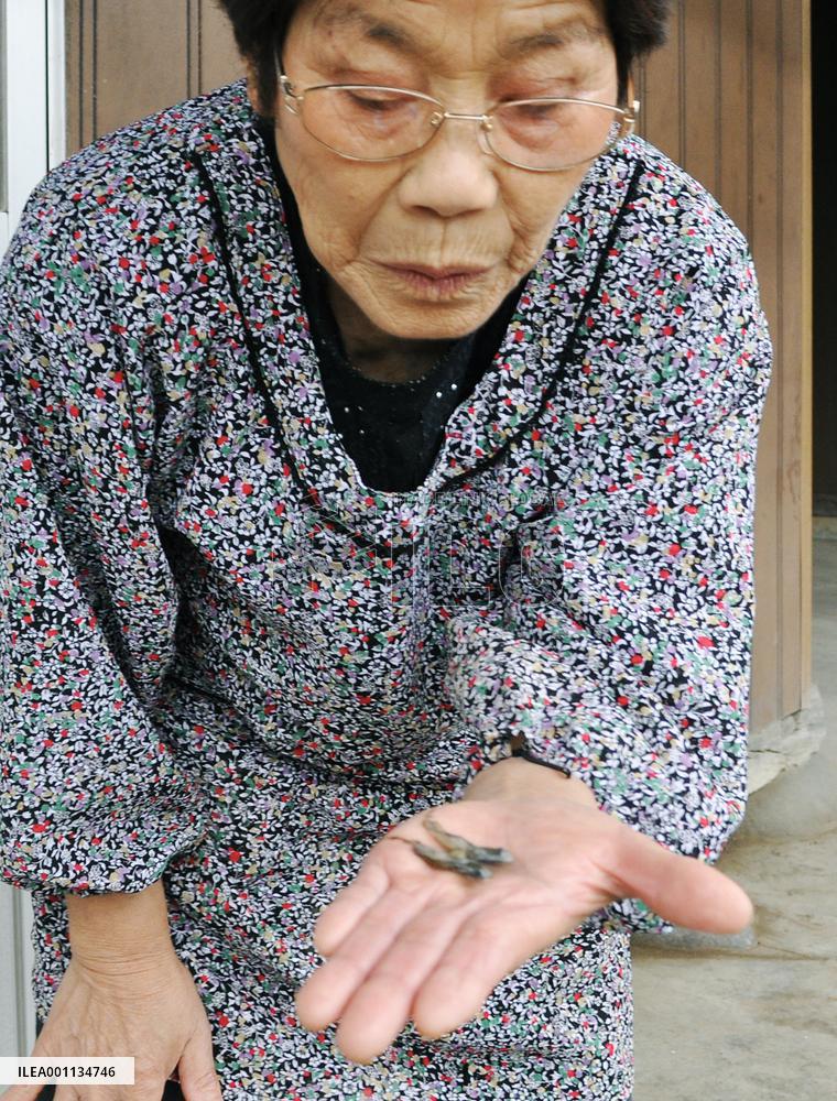 Woman in Miyagi sees dead tadpoles falling from sky