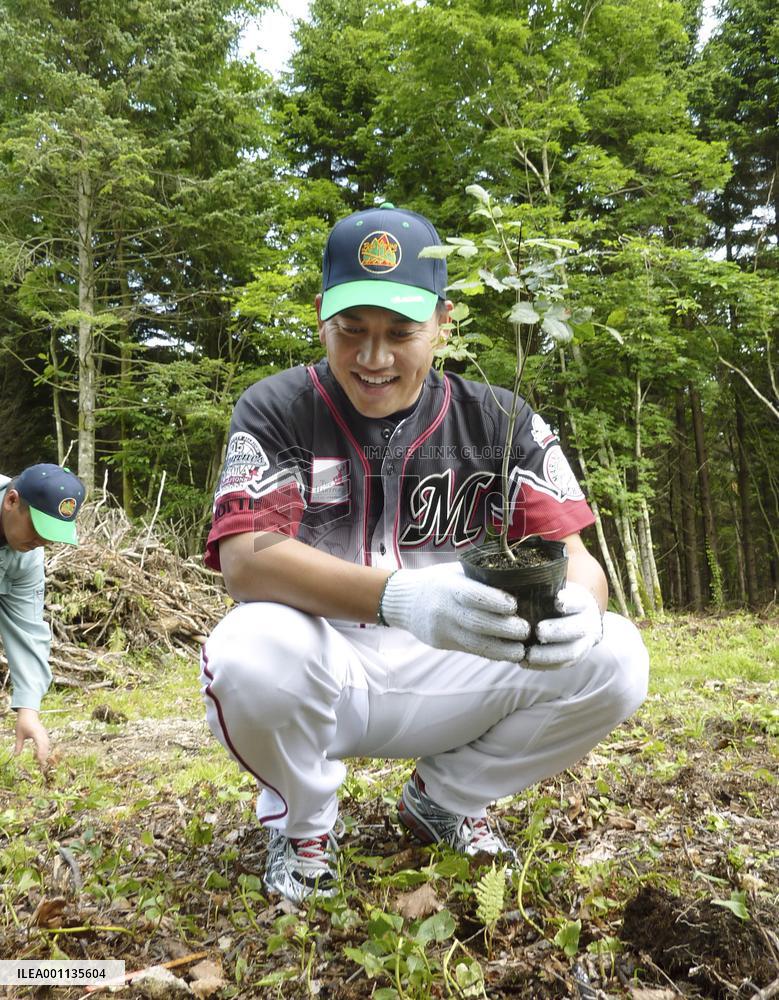 Star players plant trees for baseball bats in Hokkaido forest
