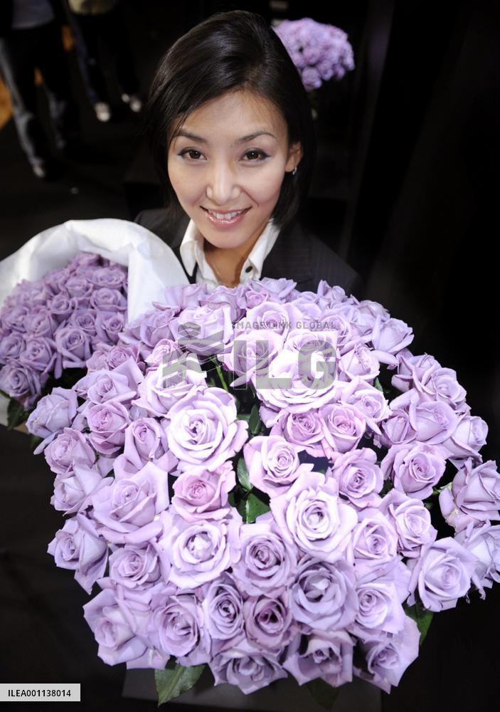 Suntory to put 'world's first' blue roses on sale in Japan