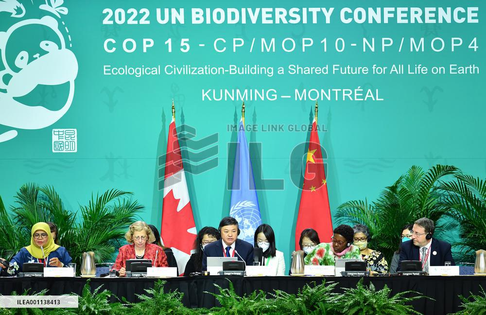 CANADA-MONTREAL-COP15-PART 2-HIGH-LEVEL SEGMENT-OPENING CEREMONY