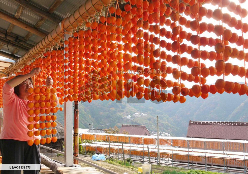 Strings of dried persimmons hung under eaves