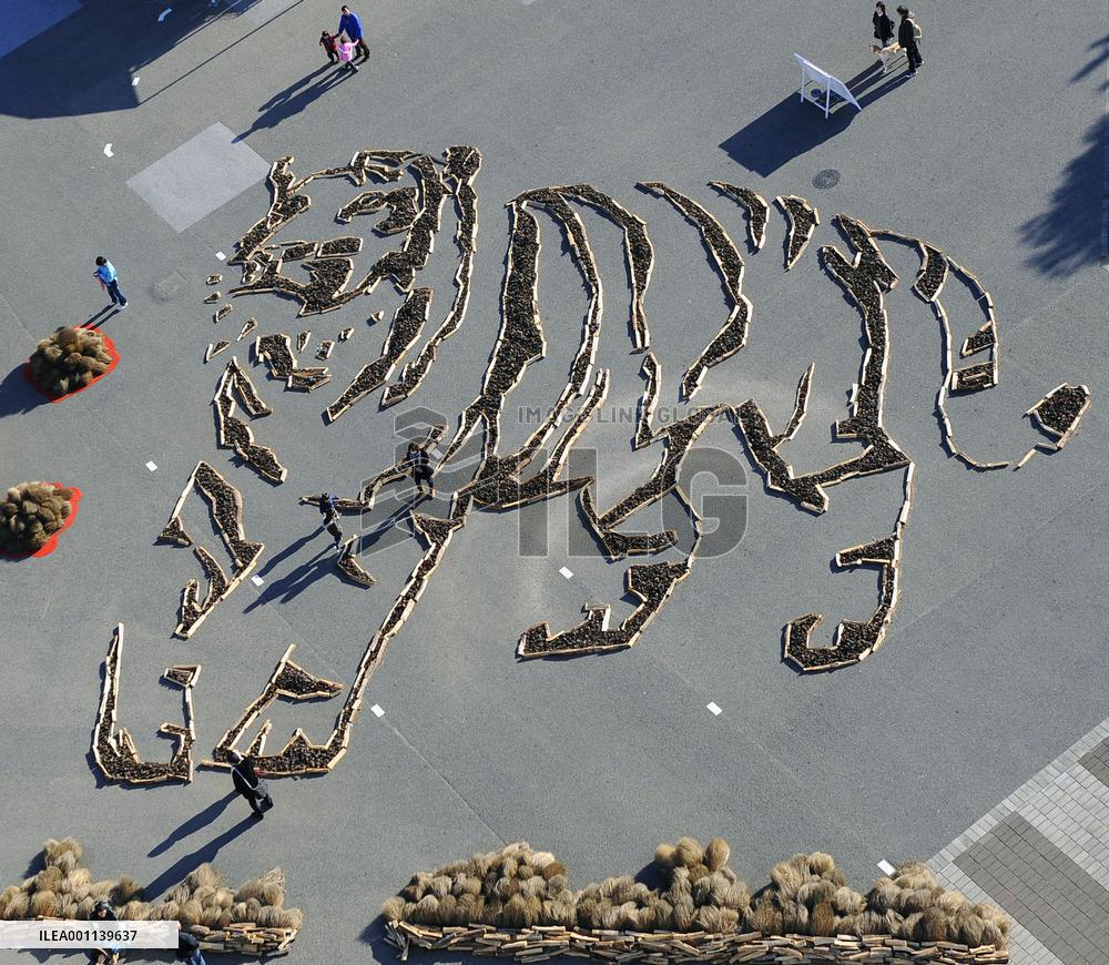 Huge image of tiger laid out in Ibaraki Pref. national park