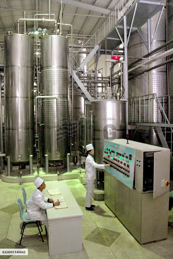 N. Korea begins 'shochu' production