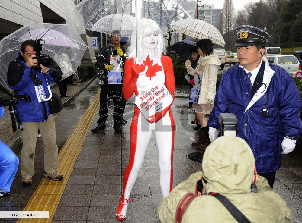 Canadian in Tokyo criticizes seal hunt in homeland