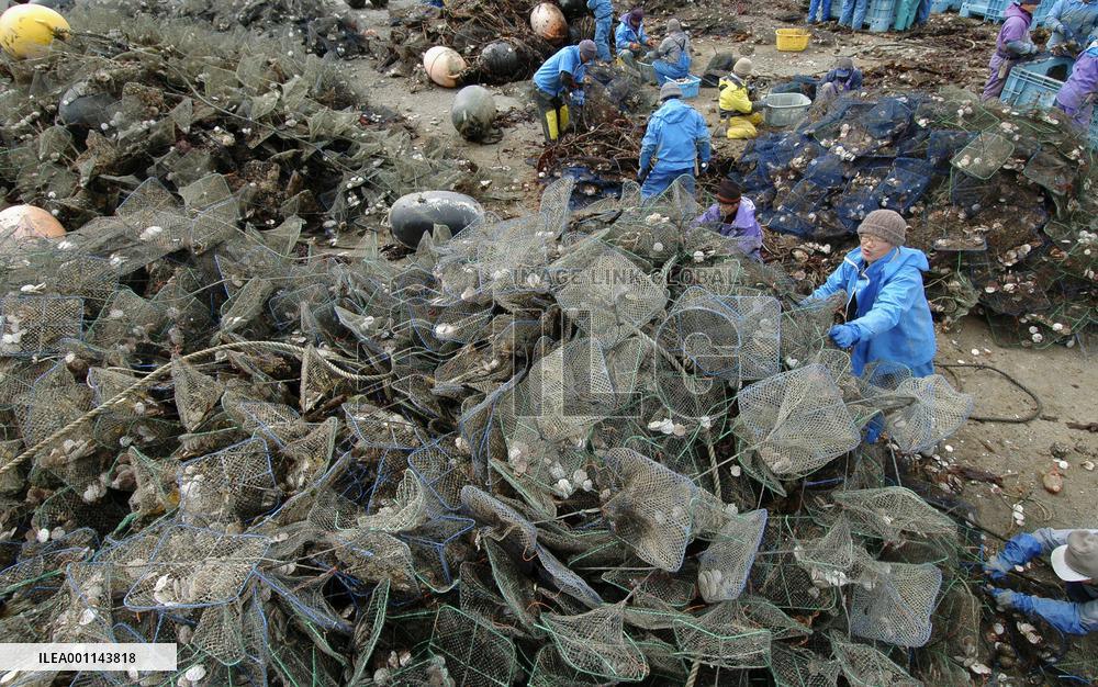 Chile quake tsunamis damage Japan's fisheries industry