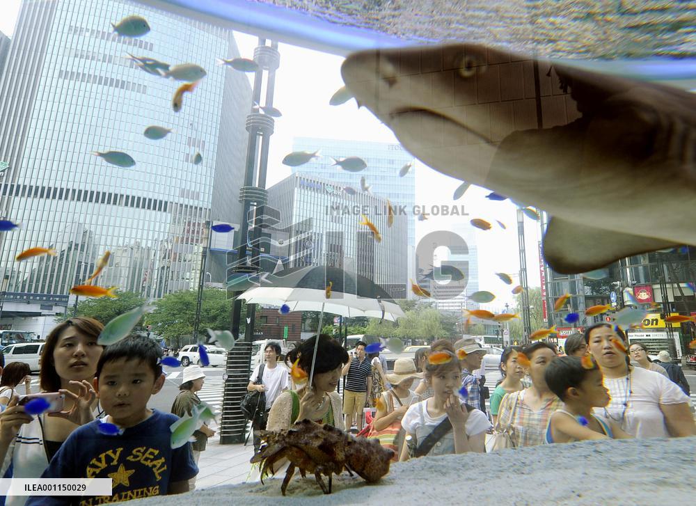 'Aquarium' in Tokyo's Ginza district