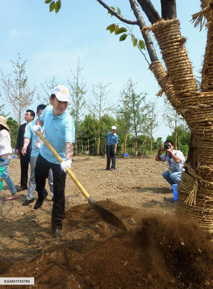 Japan's tourism minister plants tree in China