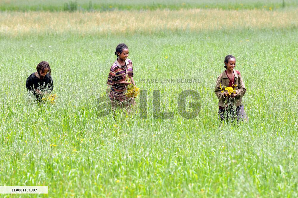 Girls' festival in Ethiopia