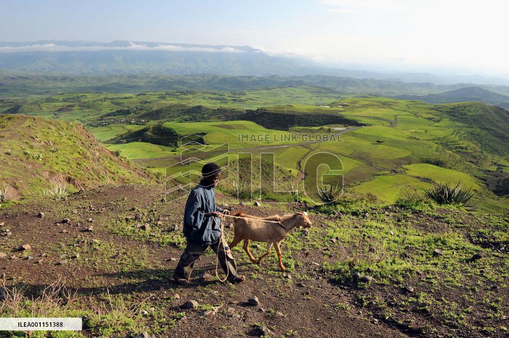 Girls' festival in Ethiopia