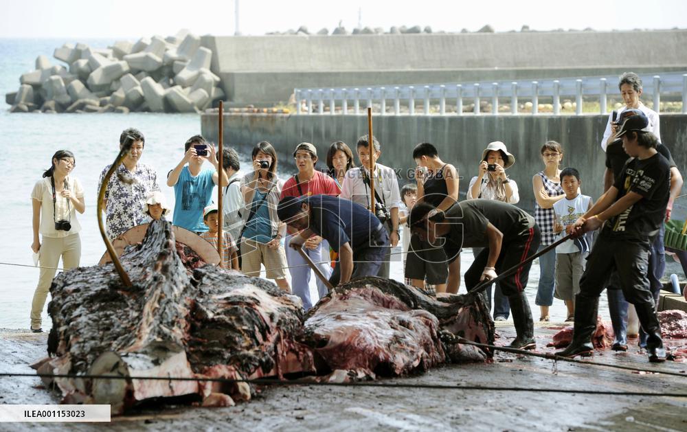 Whaling tradition in Japan communities