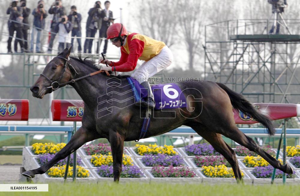 Snow Fairy wins Queen Elizabeth cup