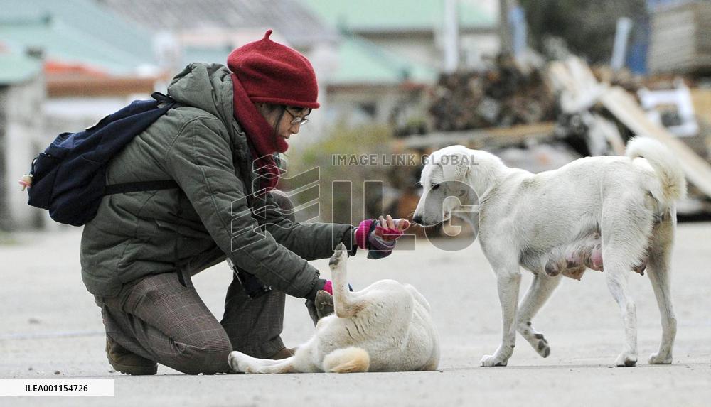 Pets help on Yeonpyeong Island