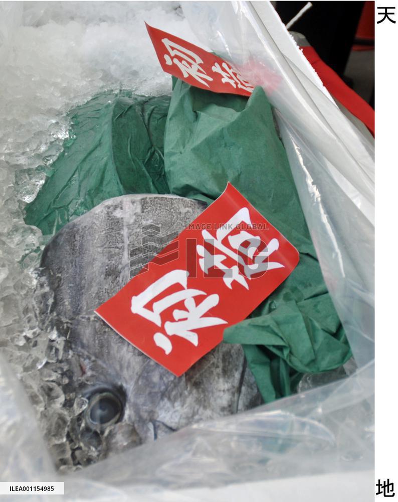 Sojitz begins shipment of farmed bluefin tuna
