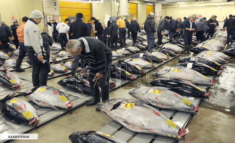 Tuna fetches record 32 mil. yen at Tokyo auction