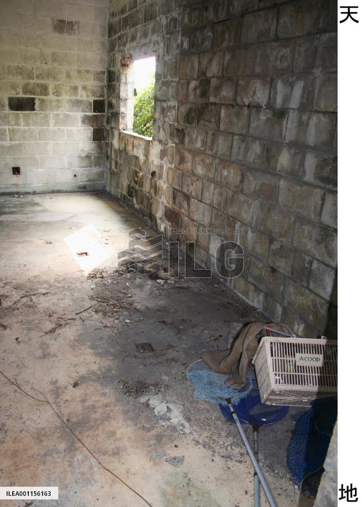 Suspect in Briton's murder to release book