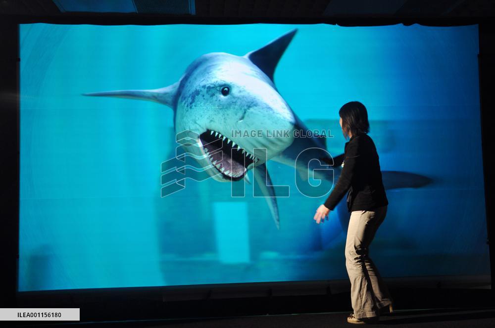 200-inch 3-D screen