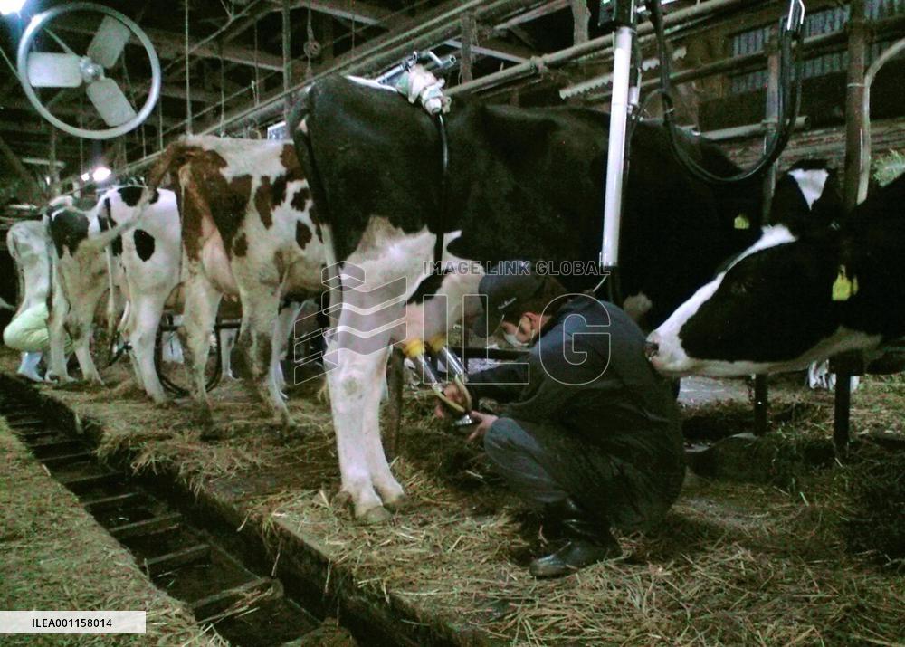Cattle farmer in Fukushima Pref.