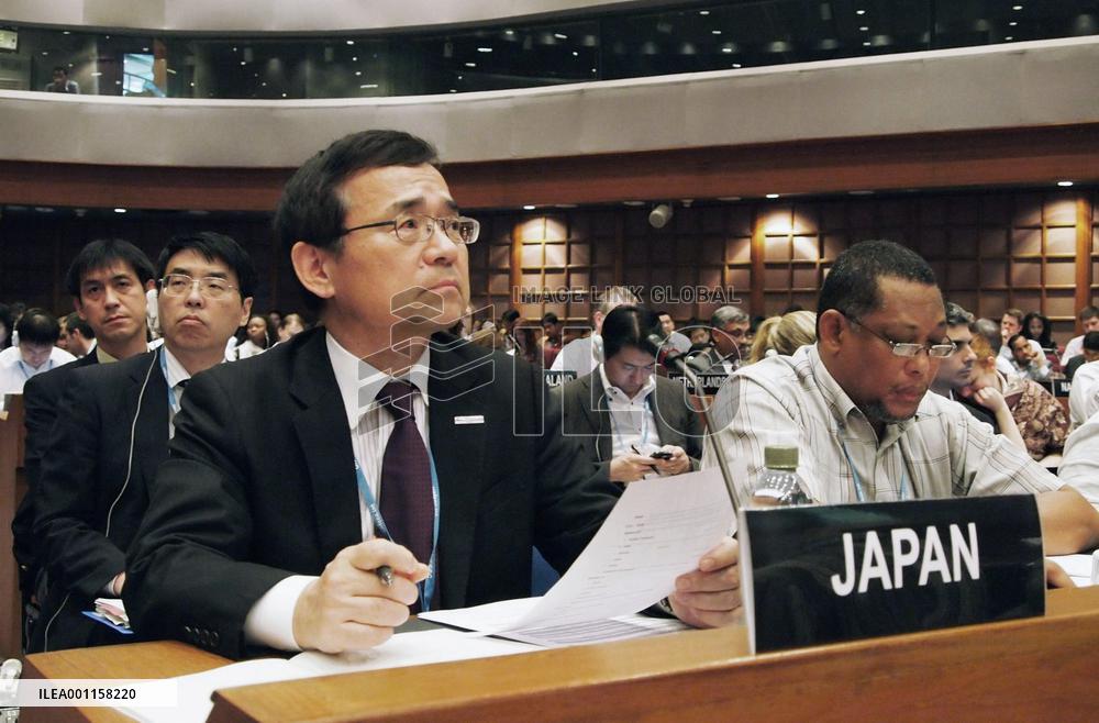 U.N. convention on climate change