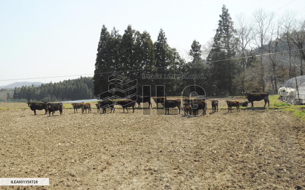 Empty town near Fukushima Daiichi nuclear plant