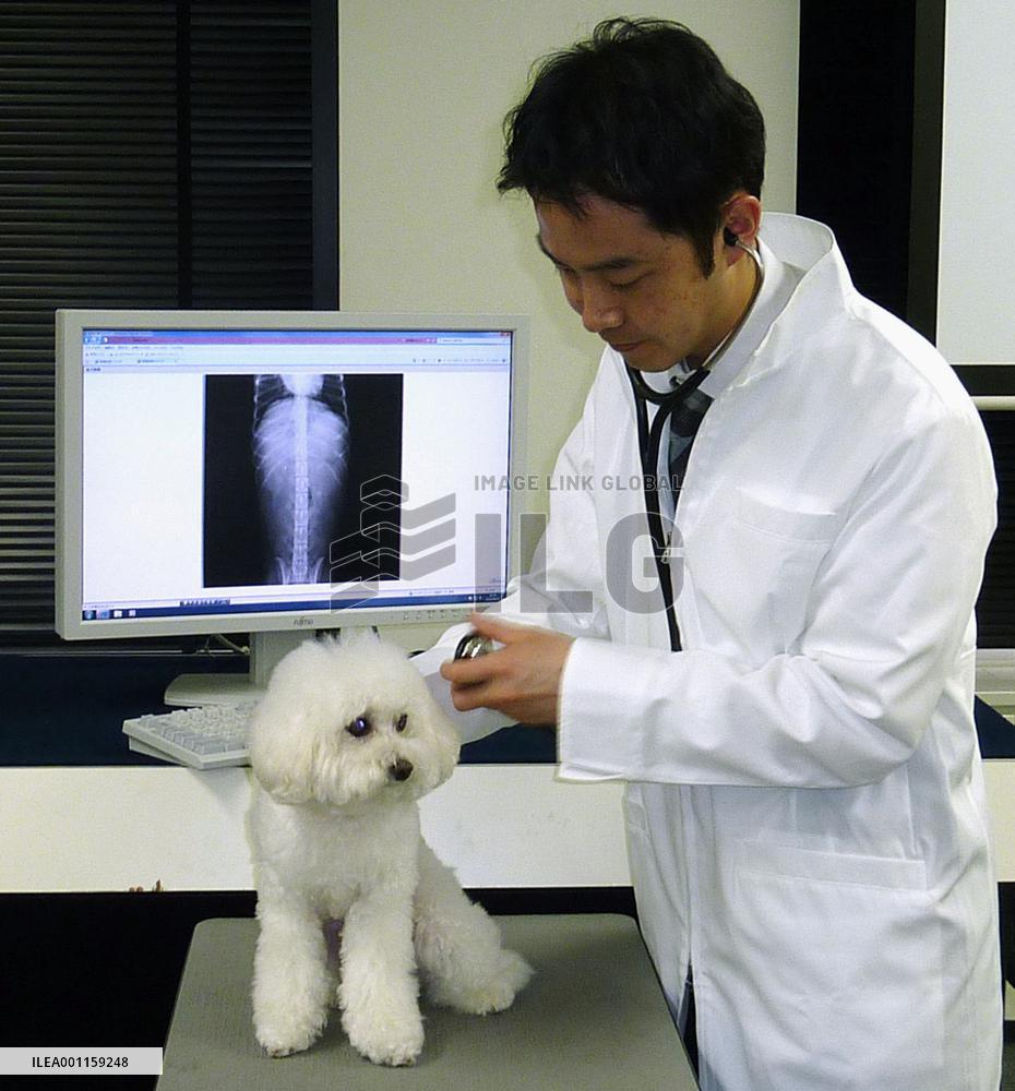 Cloud computing service helps disaster-affected animals