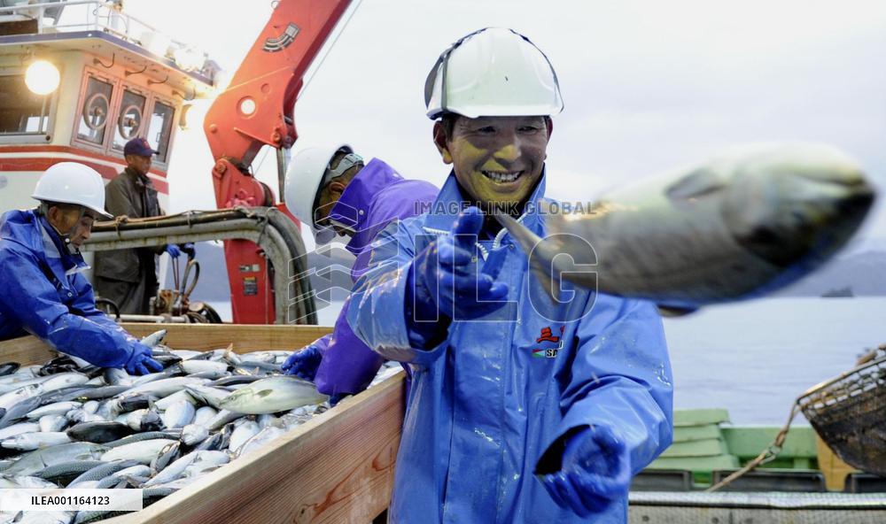 Salmon, mackerel harvested in disaster-hit Otsuchi