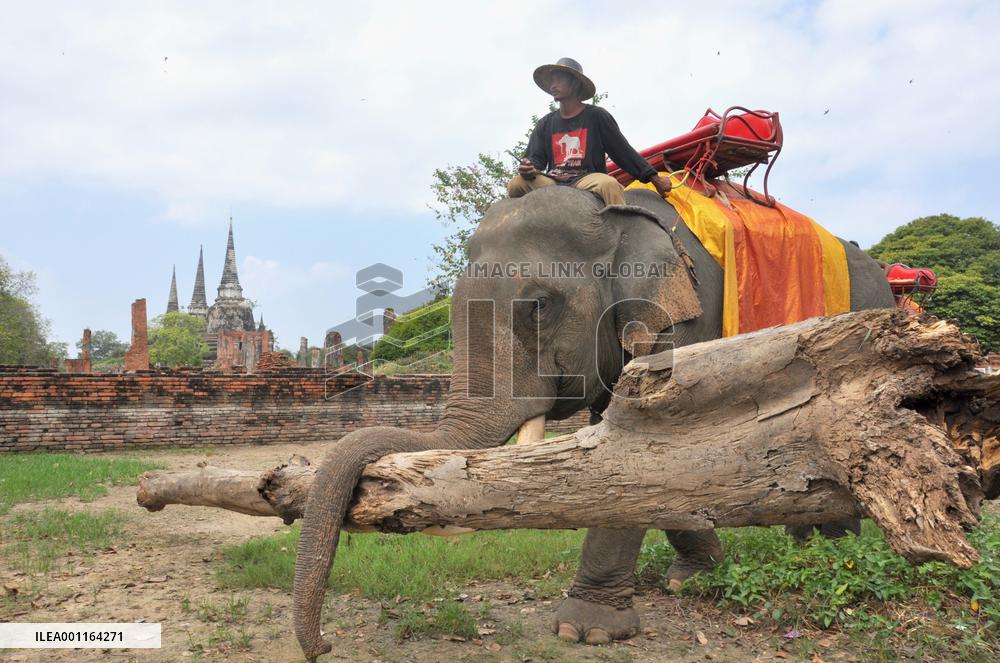 Clean-up work begins in Thailand's ancient capital