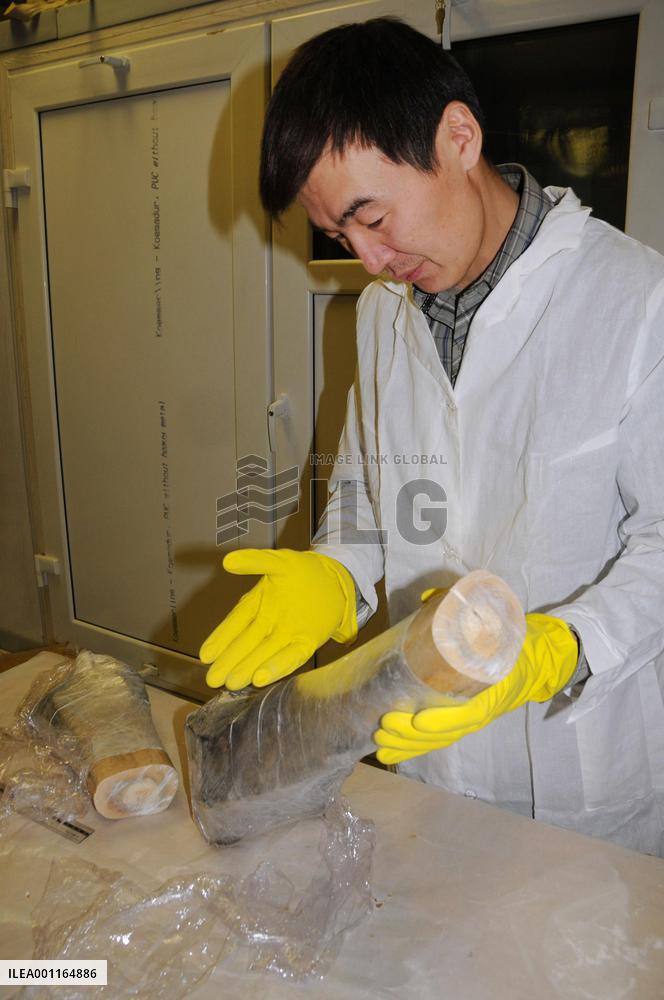 Mammoth cloning project in Russia