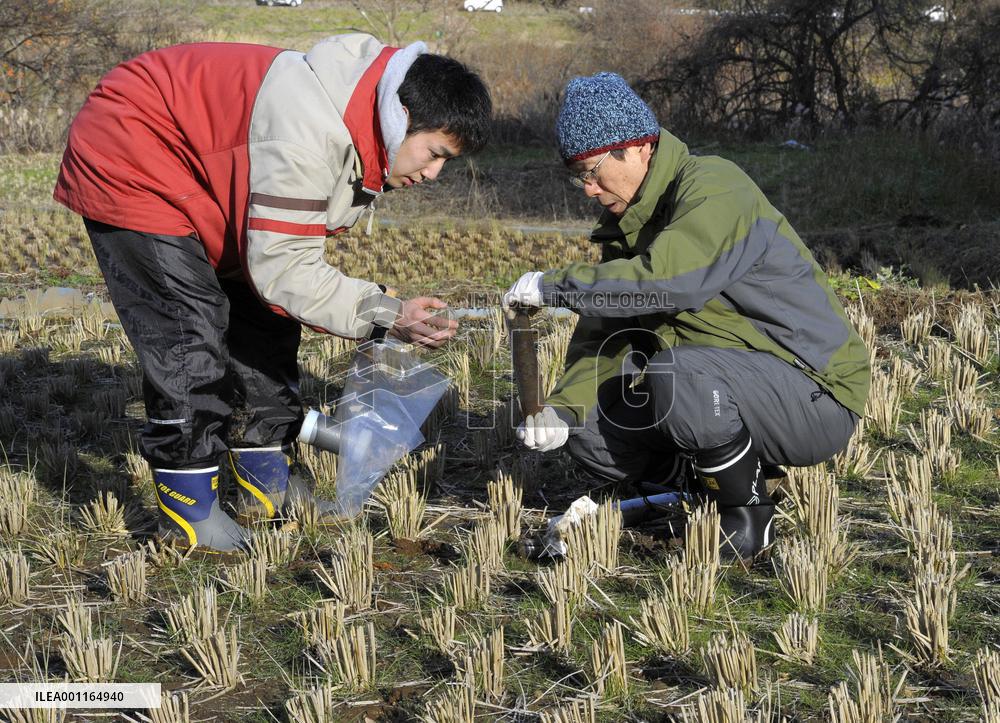 Survey in Fukushima rice field
