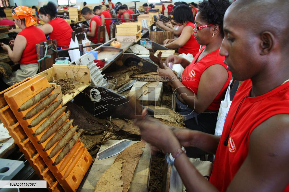 Cuban cigar factory