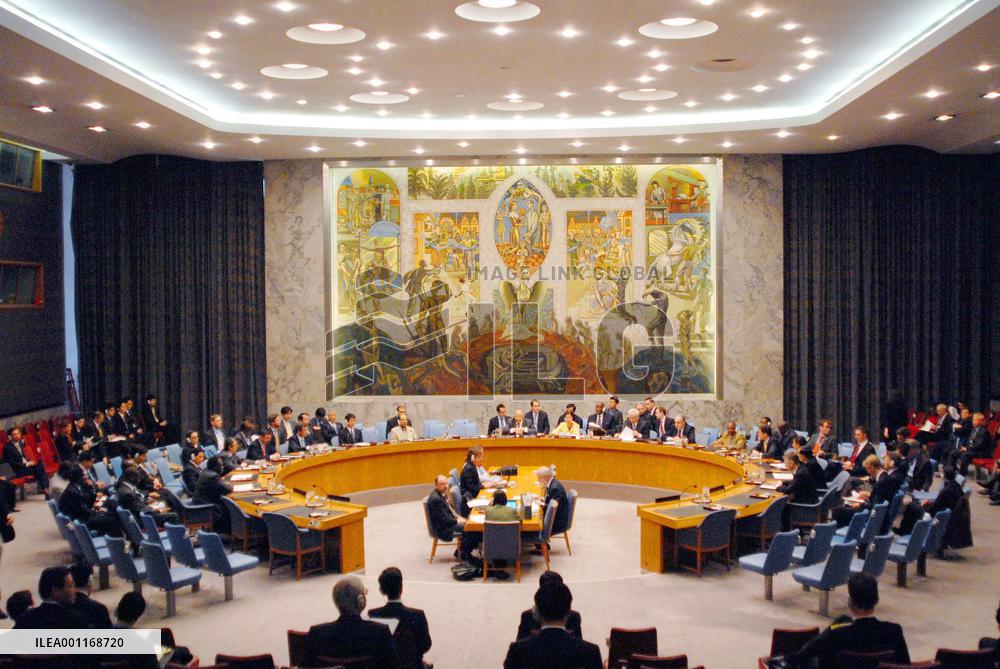 U.N. Security Council