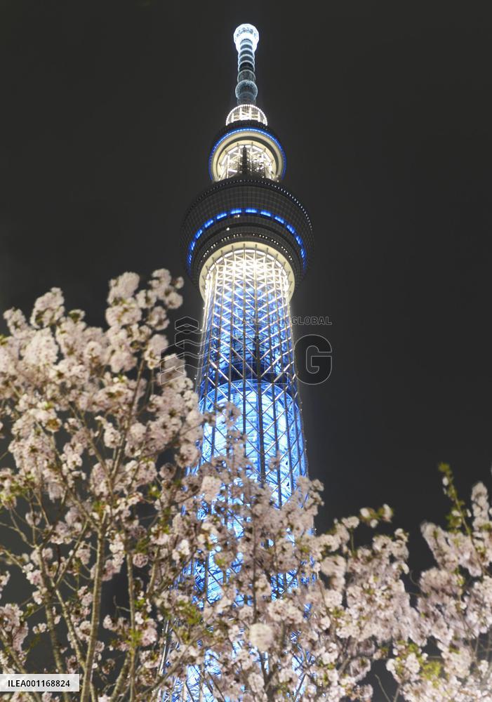 Tokyo Sky Tree fully lit up