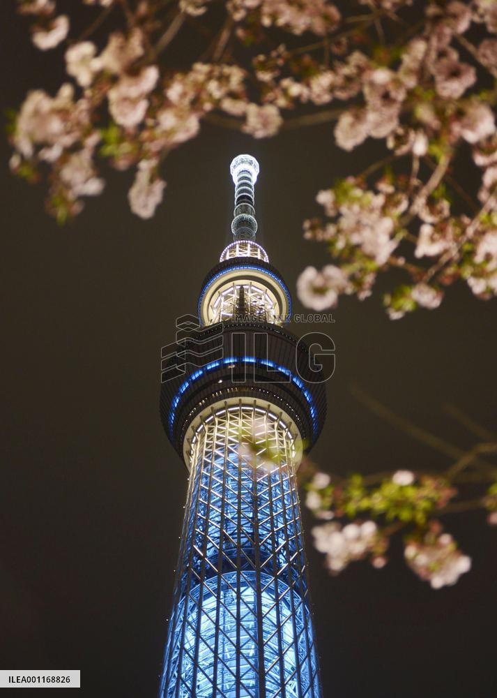 Tokyo Sky Tree fully lit up