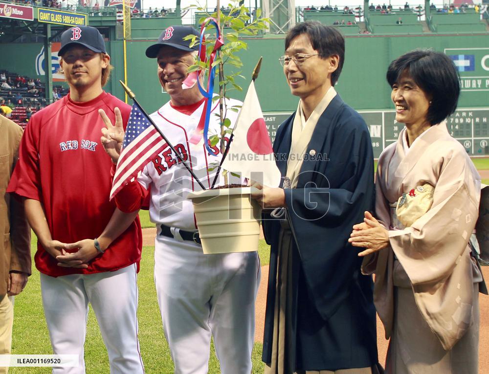 Red Sox presented with cherry blossom tree