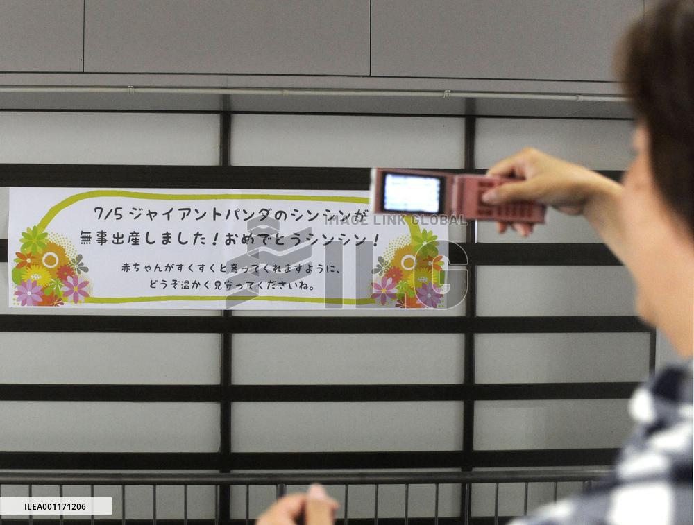 Festive mood after birth of panda