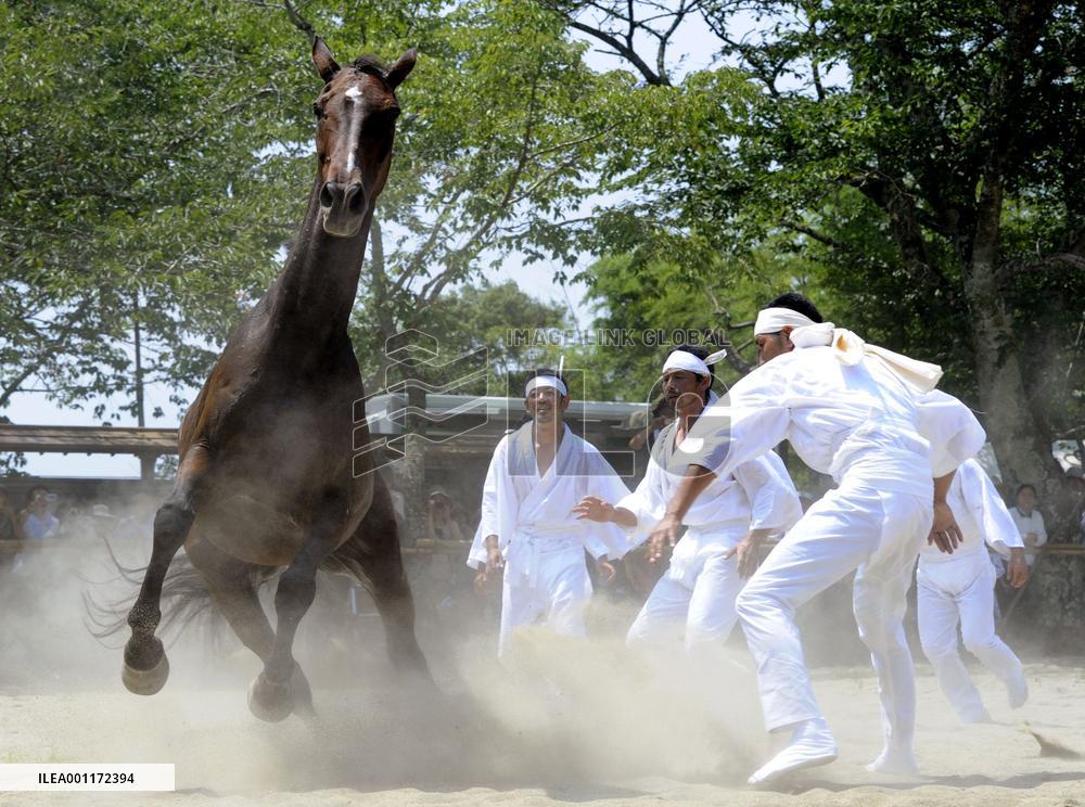 Fukushima horse chase festival