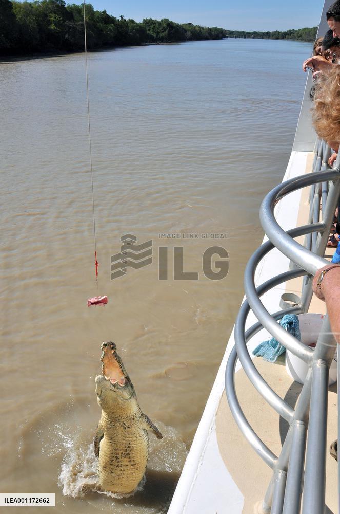 Crocodiles attract tourists in Australia
