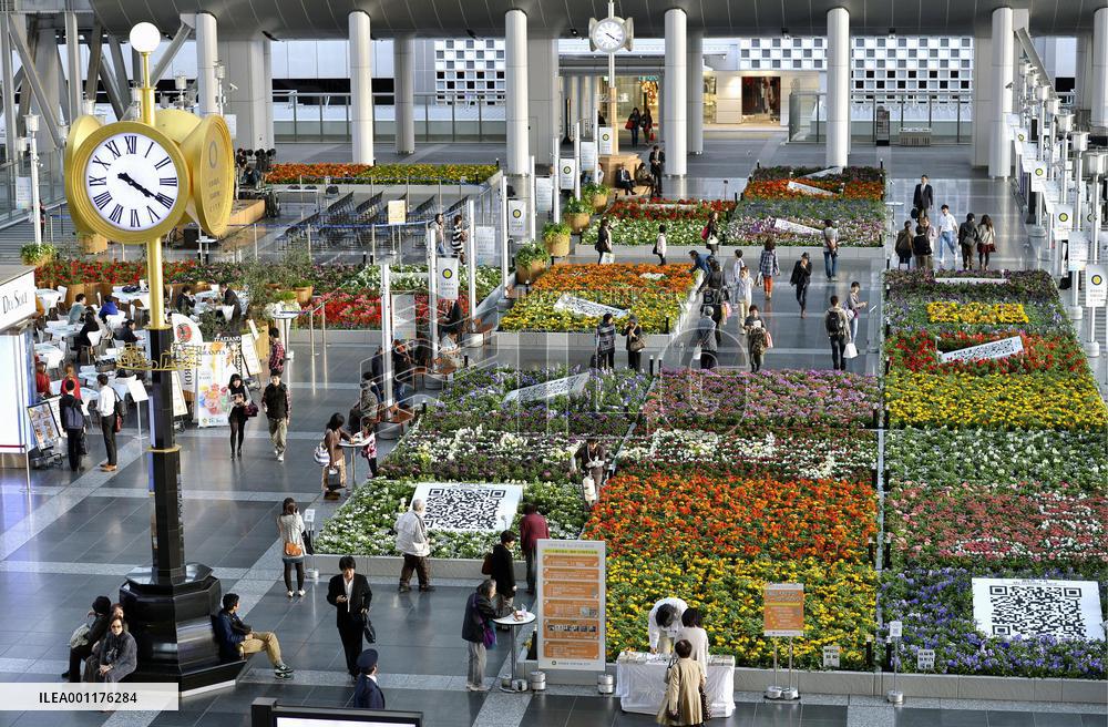 Flowerbeds at Osaka Station City