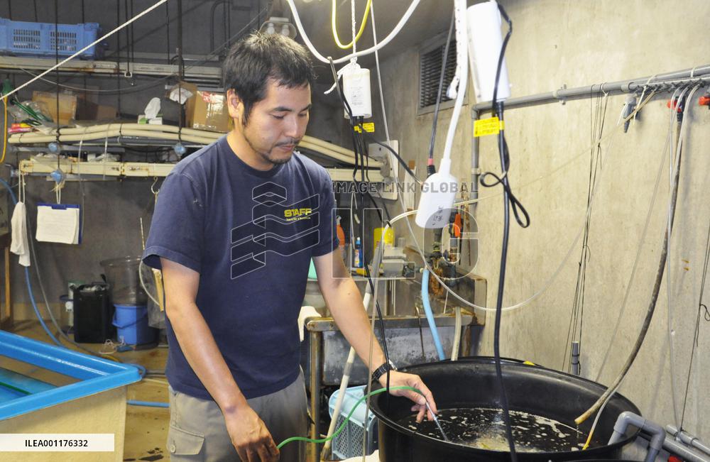 Jawfish breeder hopes to inspire interest in ocean