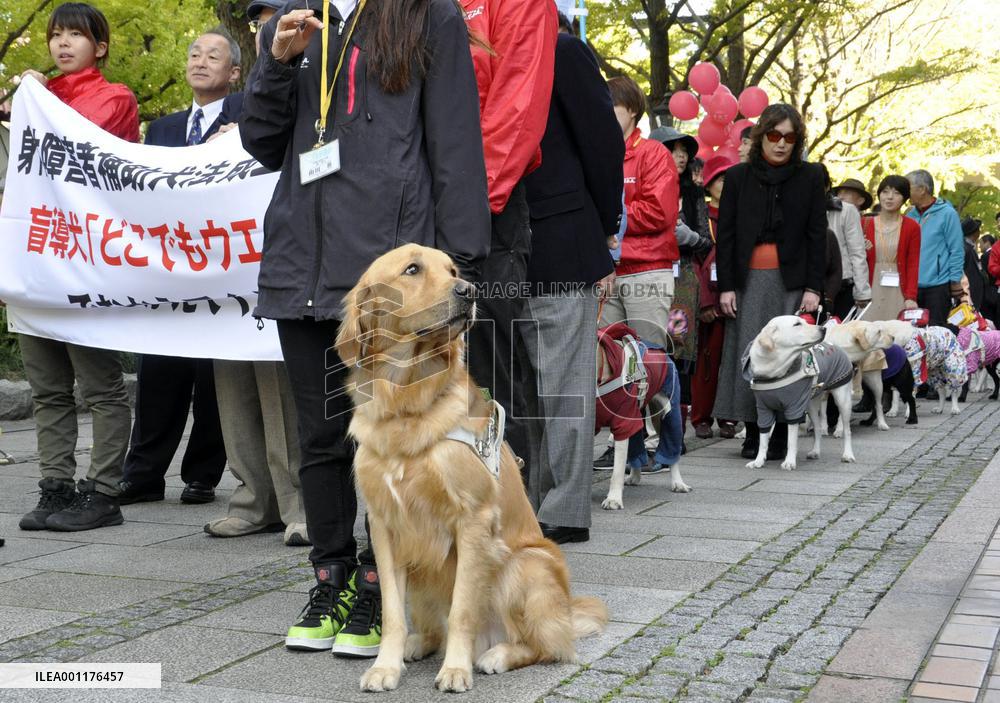 Guide dog parade