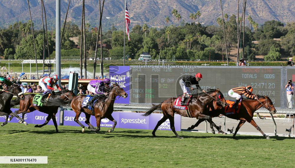 Trailblazer 4th, Little Mike wins Breeders' Cup Turf