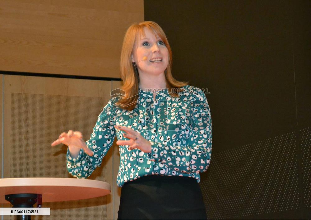 Swedish enterprise minister