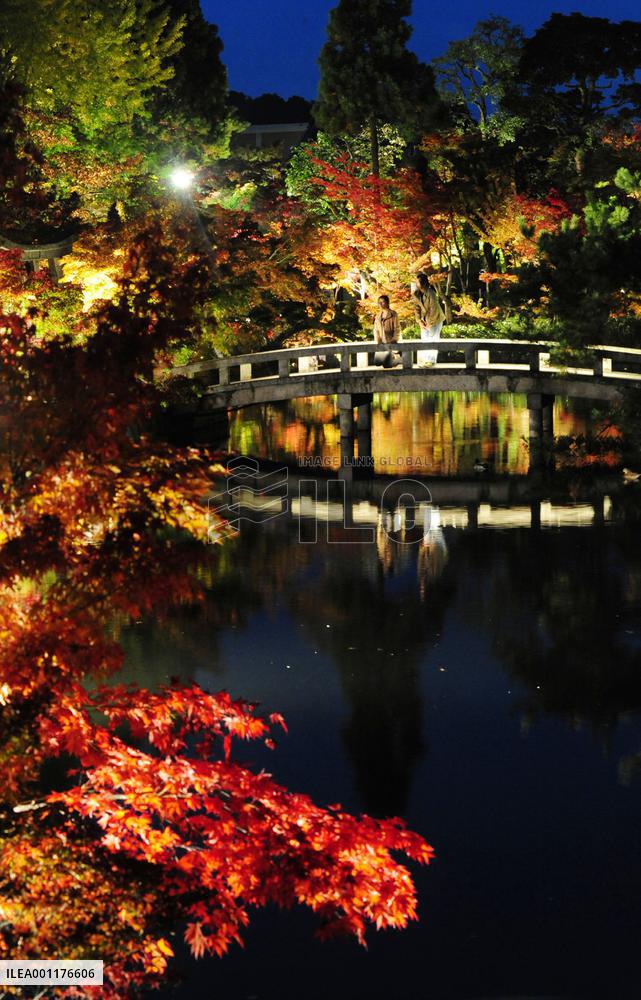 Autumn leaves illuminated at Kyoto temple