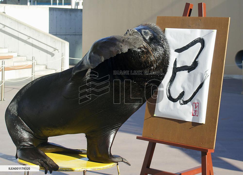 Sea lion conducts rehearsal for New Year writing