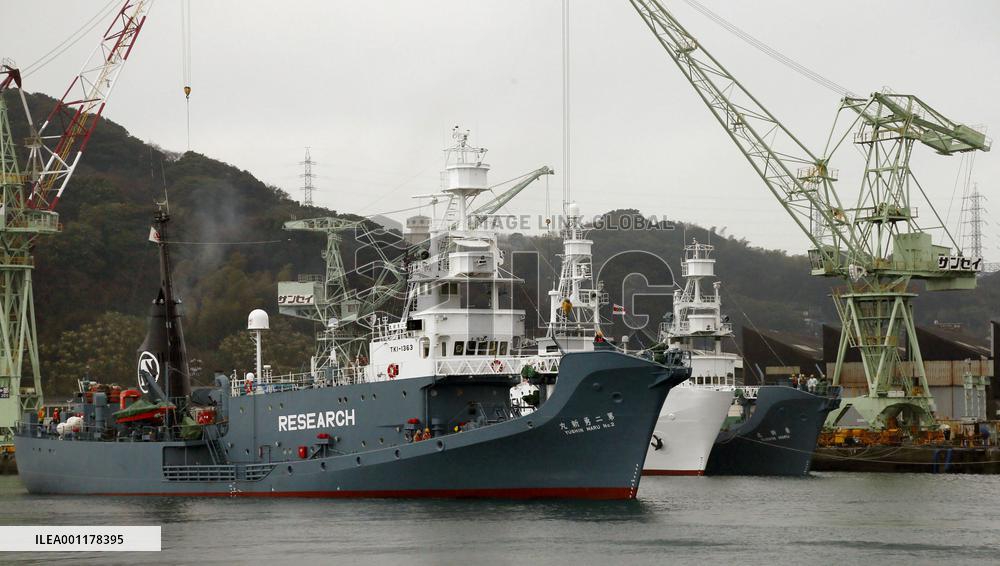 Fleet off for research whaling